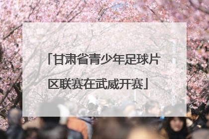甘肃省青少年足球片区联赛在武威开赛