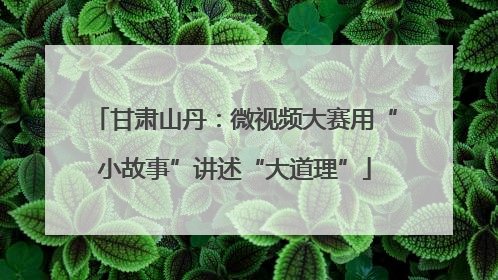 甘肃山丹：微视频大赛用“小故事”讲述“大道理”