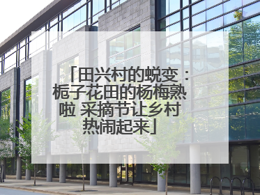 田兴村的蜕变：栀子花田的杨梅熟啦 采摘节让乡村热闹起来