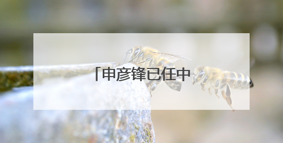 申彦锋已任中核集团董事长