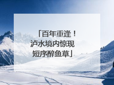 百年重逢！泸水境内惊现短序醉鱼草