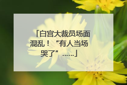 白宫大裁员场面混乱！“有人当场哭了”……