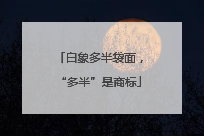 白象多半袋面，“多半”是商标