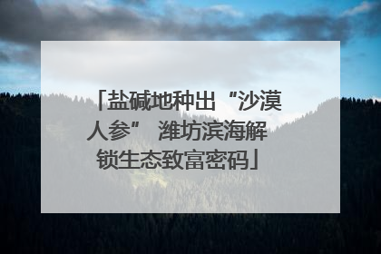 盐碱地种出“沙漠人参” 潍坊滨海解锁生态致富密码