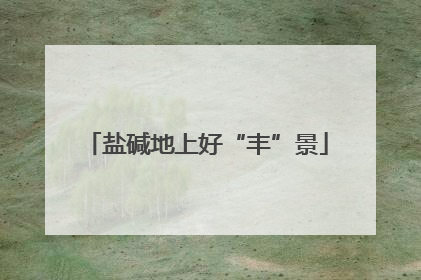盐碱地上好“丰”景
