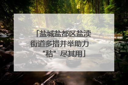 盐城盐都区盐渎街道多措并举助力“秸”尽其用