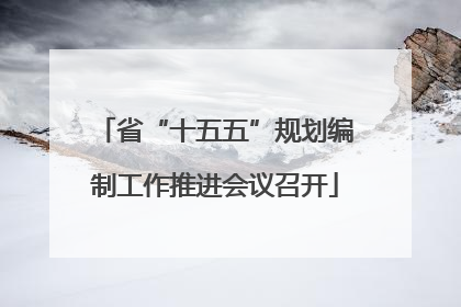 省“十五五”规划编制工作推进会议召开