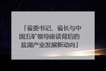 省委书记、省长与中国五矿领导座谈背后的盐湖产业发展新动向