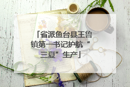 省派鱼台县王鲁镇第一书记护航“三夏”生产