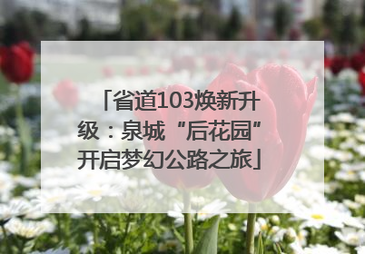 省道103焕新升级：泉城“后花园”开启梦幻公路之旅