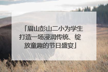 眉山彭山二小为学生打造一场浸润传统、绽放童趣的节日盛宴