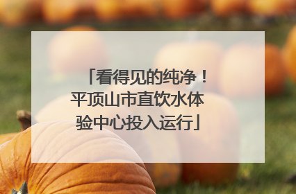 看得见的纯净！平顶山市直饮水体验中心投入运行