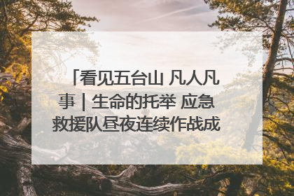 看见五台山 凡人凡事｜生命的托举 应急救援队昼夜连续作战成功救出两批被困游客