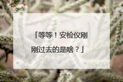 等等!安检仪刚刚过去的是啥?