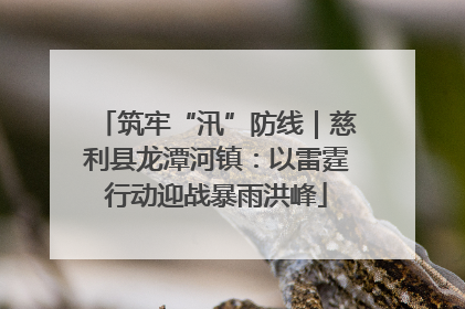 筑牢“汛”防线｜慈利县龙潭河镇：以雷霆行动迎战暴雨洪峰