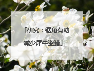 研究：锯角有助减少犀牛盗猎