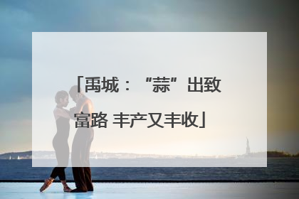禹城：“蒜”出致富路 丰产又丰收