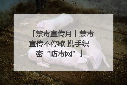 禁毒宣传月丨禁毒宣传不停歇 携手织密“防毒网”