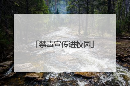 禁毒宣传进校园
