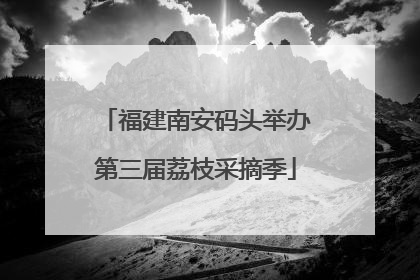 福建南安码头举办第三届荔枝采摘季