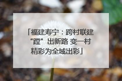 福建寿宁：跨村联建“蹚”出新路 变一村精彩为全域出彩