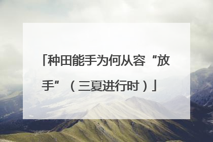 种田能手为何从容“放手”（三夏进行时）