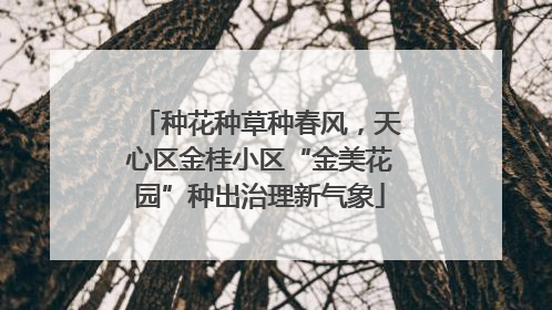 种花种草种春风，天心区金桂小区“金美花园”种出治理新气象