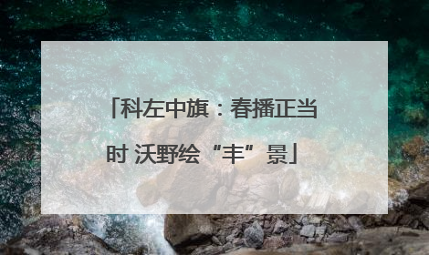 科左中旗：春播正当时 沃野绘“丰”景