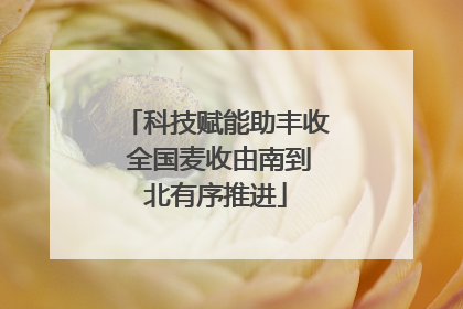 科技赋能助丰收 全国麦收由南到北有序推进