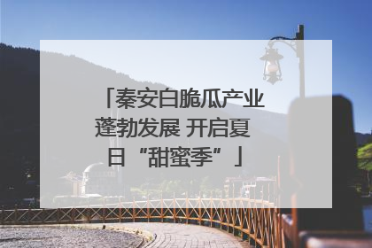 秦安白脆瓜产业蓬勃发展 开启夏日“甜蜜季”