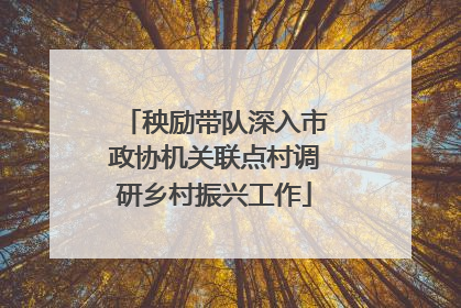 秧励带队深入市政协机关联点村调研乡村振兴工作