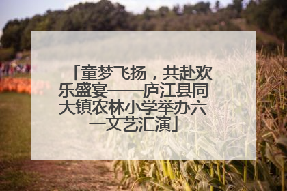 童梦飞扬，共赴欢乐盛宴——庐江县同大镇农林小学举办六一文艺汇演