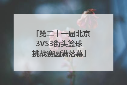 第二十一届北京3VS3街头篮球挑战赛圆满落幕