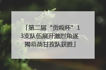 第二届“贡嘎杯”13支队伍展开激烈角逐 揭幕战甘孜队获胜
