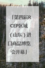 第四届RCEP区域（山东）进口商品博览会开幕