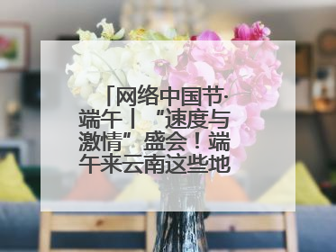 网络中国节·端午丨“速度与激情”盛会！端午来云南这些地方看龙舟竞渡