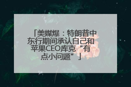 美媒爆：特朗普中东行期间承认自己和苹果CEO库克“有点小问题”