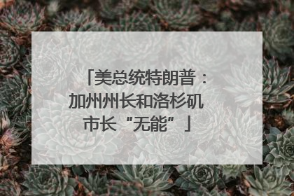 美总统特朗普：加州州长和洛杉矶市长“无能”