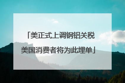 美正式上调钢铝关税 美国消费者将为此埋单