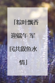 粽叶飘香迎端午 军民共叙鱼水情