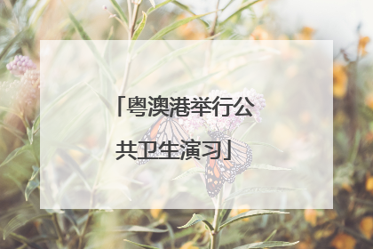 粤澳港举行公共卫生演习
