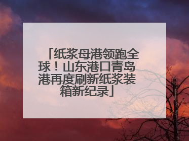 纸浆母港领跑全球！山东港口青岛港再度刷新纸浆装箱新纪录