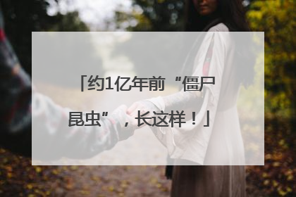 约1亿年前“僵尸昆虫”，长这样！