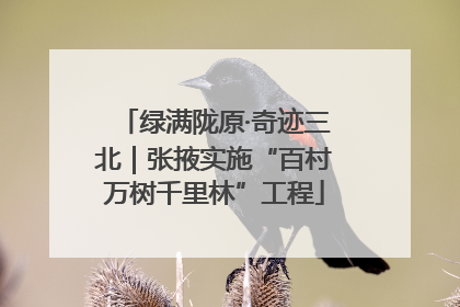 绿满陇原·奇迹三北｜张掖实施“百村万树千里林”工程