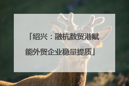 绍兴：融杭数贸港赋能外贸企业稳量提质