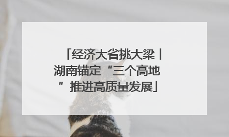 经济大省挑大梁丨湖南锚定“三个高地”推进高质量发展
