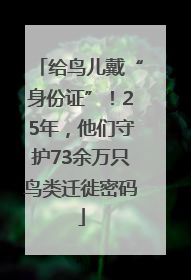 给鸟儿戴“身份证”！25年，他们守护73余万只鸟类迁徙密码