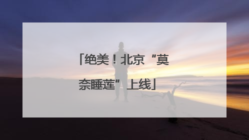 绝美！北京“莫奈睡莲”上线
