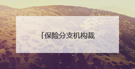 保险分支机构裁撤大潮下，谁在逆势开“分店”