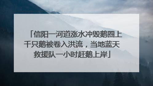 信阳一河道涨水冲毁鹅圈上千只鹅被卷入洪流，当地蓝天救援队一小时赶鹅上岸